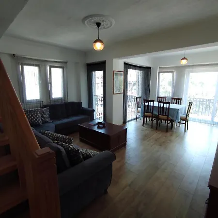 Loft Flat In Goecek Apartment Fethiye
